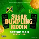 Beenie Man – Fucked Up