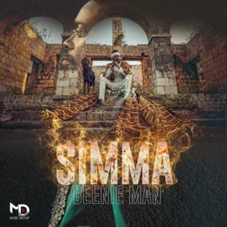 Beenie Man - Simma Album