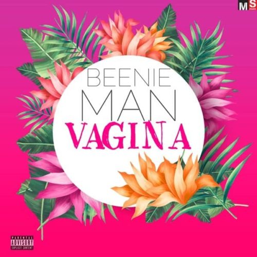Beenie-Man-Vagina