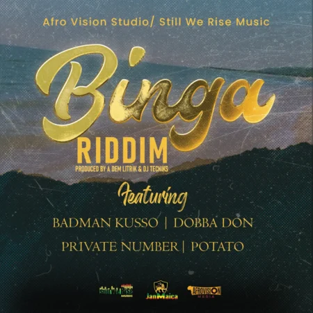 Binga Riddim – Afro Vision Studio Binga Riddim - Afro Vision Studio