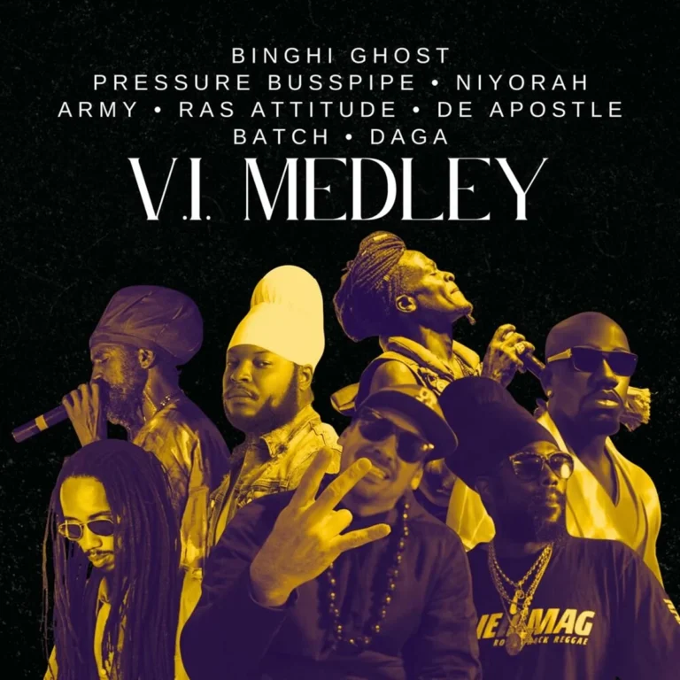 Binghi Ghost, Pressure Busspipe, Niyorah, Army, Ras Attitude, De Apostle, Batch & Daga - V.i. Medley