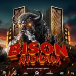 Bison Riddim – Benji Beatz