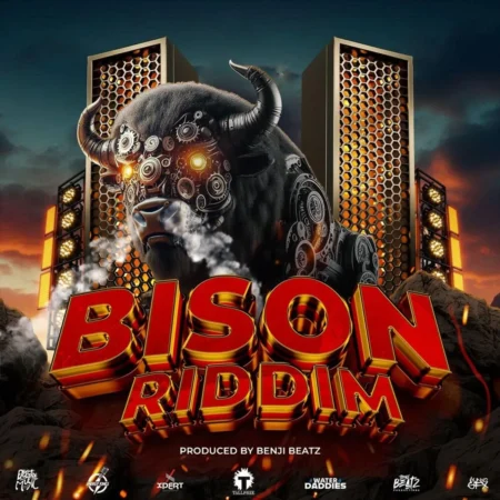 Bison Riddim - Benji Beatz