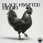 Black Rooster Riddim – Orange Hill Records