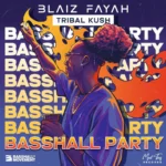 Blaiz Fayah – Basshall Party