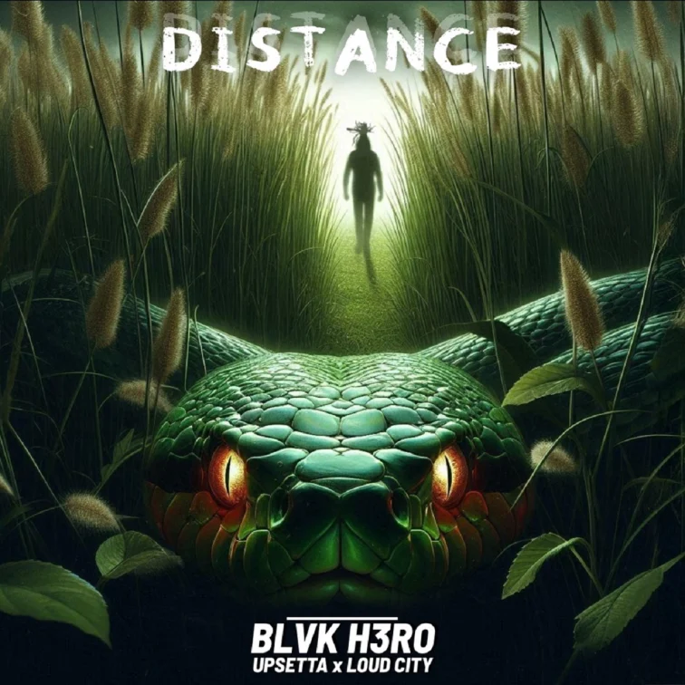 Blvk H3ro - Distance