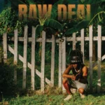 Blvk H3ro – Raw Deal