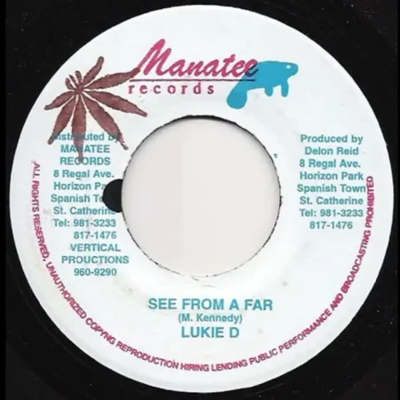 Black Widow Riddim - Dj Skribble