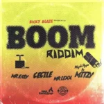 Boom Riddim (2017) – Ricky Blaze
