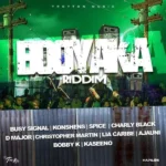 Booyaka Riddim – Troyton Music