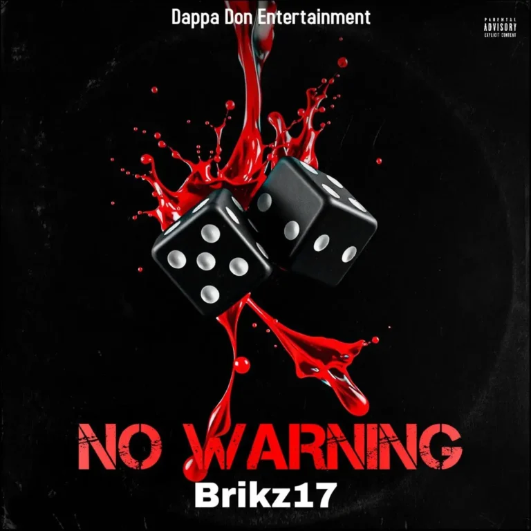 Brikz17 - No Warning