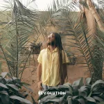 Brisco – Revolution