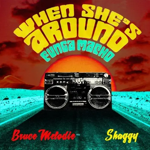 bruce melodie - when she-s around