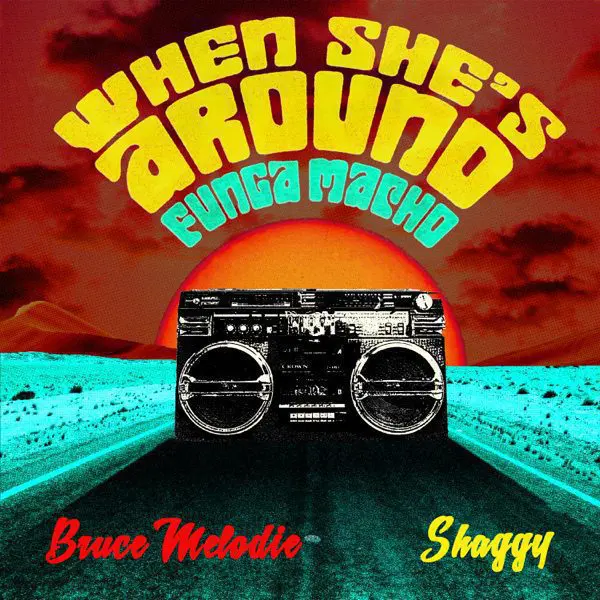 Bruce Melodie & Shaggy - When She's Around (funga Macho)