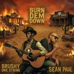 Brushy One String x Sean Paul – Burn Dem Down