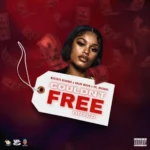 Bryco – Couldn’t Free