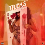 Brysco – Tricks