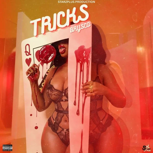Brysco - Tricks