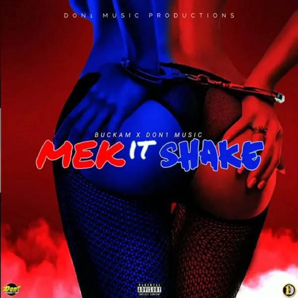 buckam- don1 music - 1biggs don - mek it shake