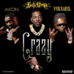 Busta Rhymes Ft. Akon & Vybz Kartel – Crazy