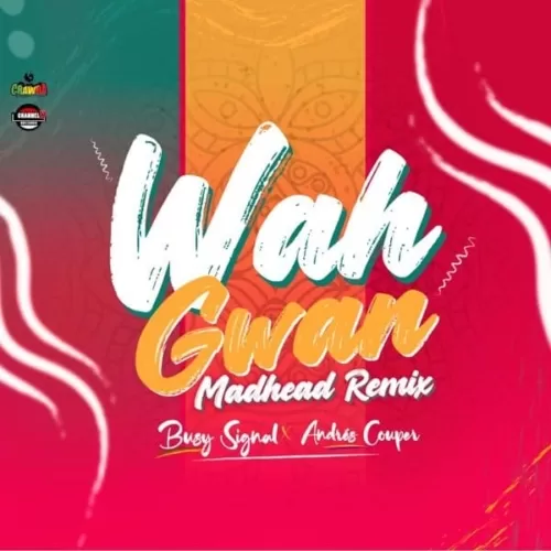 busy signal and andres couper - wah gwan mad head (remix)