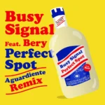 Busy Signal Ft. Bery – Perfect Spot (Aguardiente Remix)