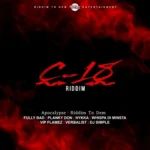 C18 Riddim – Riddim To Dem Entertainment