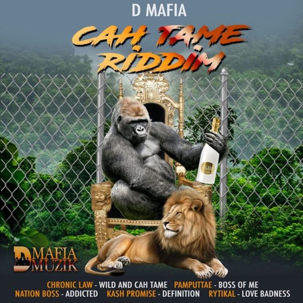 Cah Tame Riddim - D Mafia Muzik