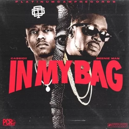 cassidy - in my bag (feat. beenie man)