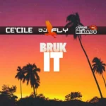 Ce’cile & Mikado – Bruk It