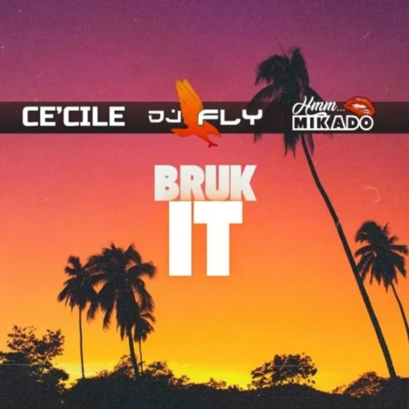 Ce’cile & Mikado - Bruk It
