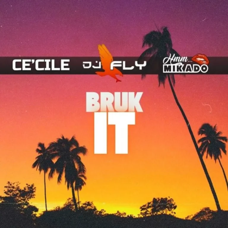 Ce’cile & Mikado - Bruk It