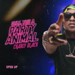 Charly Black – Gyal You A Party Animal (Sped Up)