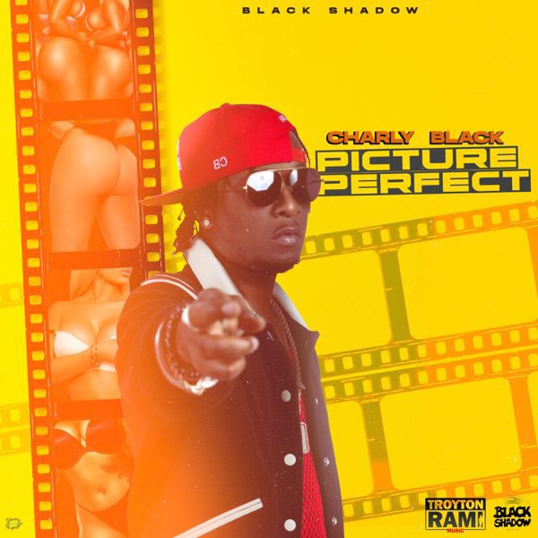 perfect charly black mp3 download