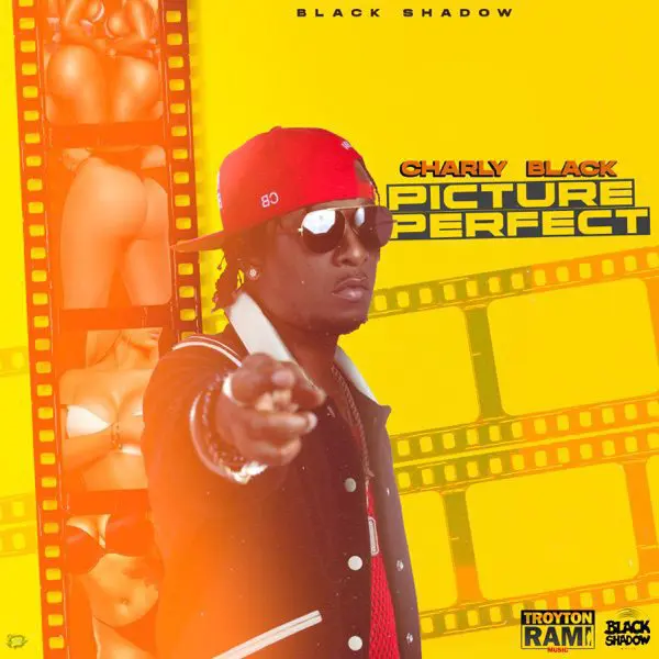 charly black - picture perfect