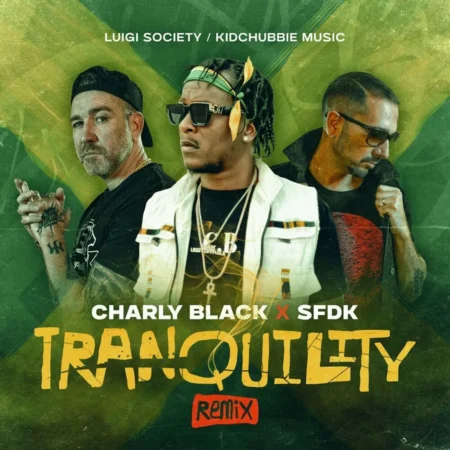 Charly Black X Sfdk - Tranquility (remix)