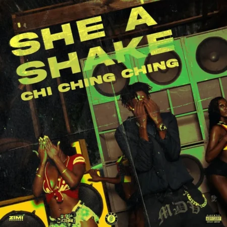 Chi Ching Ching - She A Shake