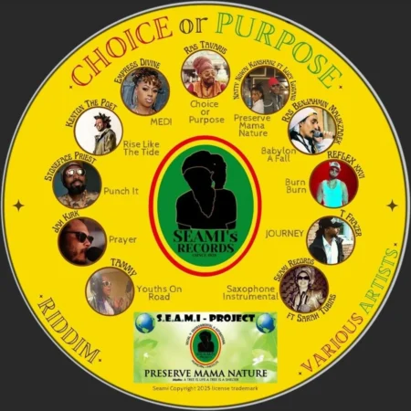 Choice Or Purpose Riddim - D.t Taylor Seami Records