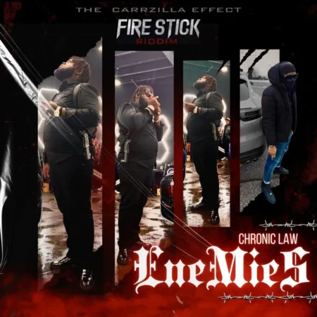 Chronic Law - Enemies