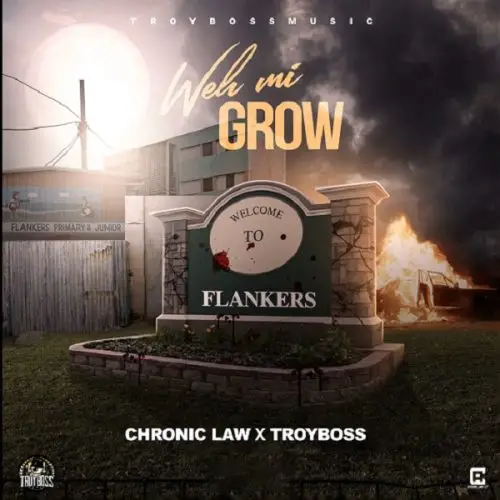 chronic law - weh mi grow