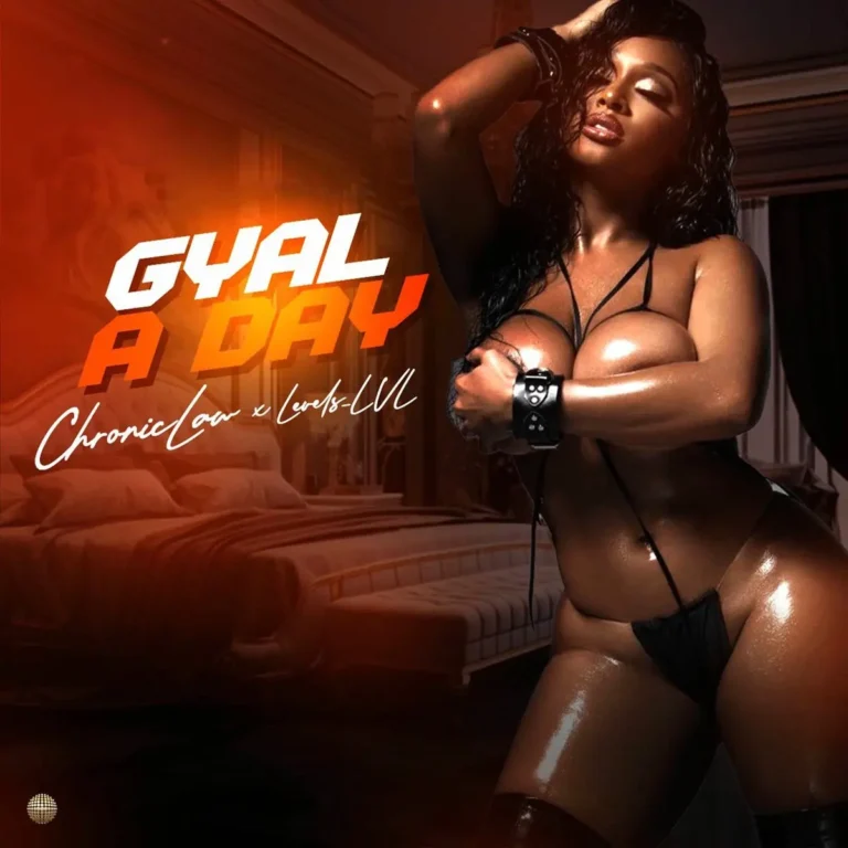 Chronic Law X Levels_lvl - Gyal A Day