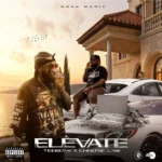 Chronic Law x Teebone – Elevation
