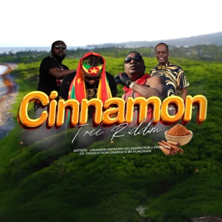 Cinnamon Tree Riddim - Dg Productions