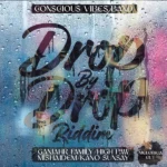 Drop By Drop Riddim – Conscious Vibes Band