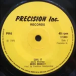 Cool It Riddim – Precision, Digital English
