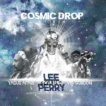 Cosmic Drop Riddim – Fruits Records