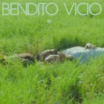 Cultura Profetica – Bendito Vicio