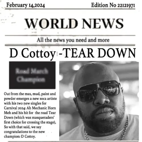 d cottoy - tear down