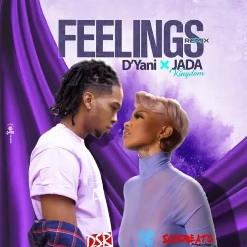 dyani - feelings (remix)  [feat. jada kingdom]