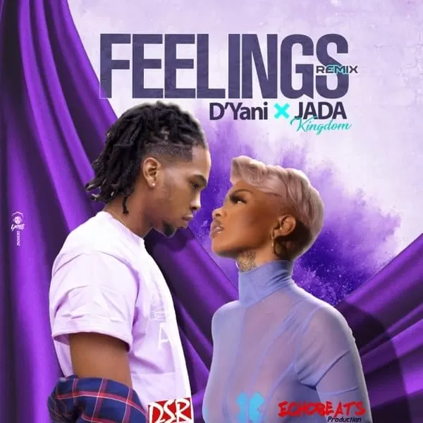 dyani - feelings (remix) [feat. jada kingdom]